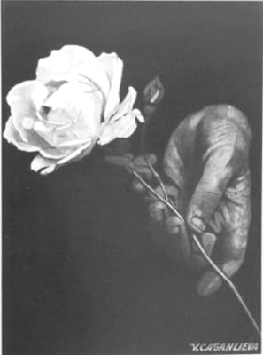 La Rosa