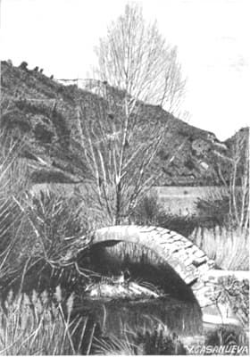 El puente