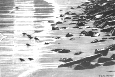 La playa