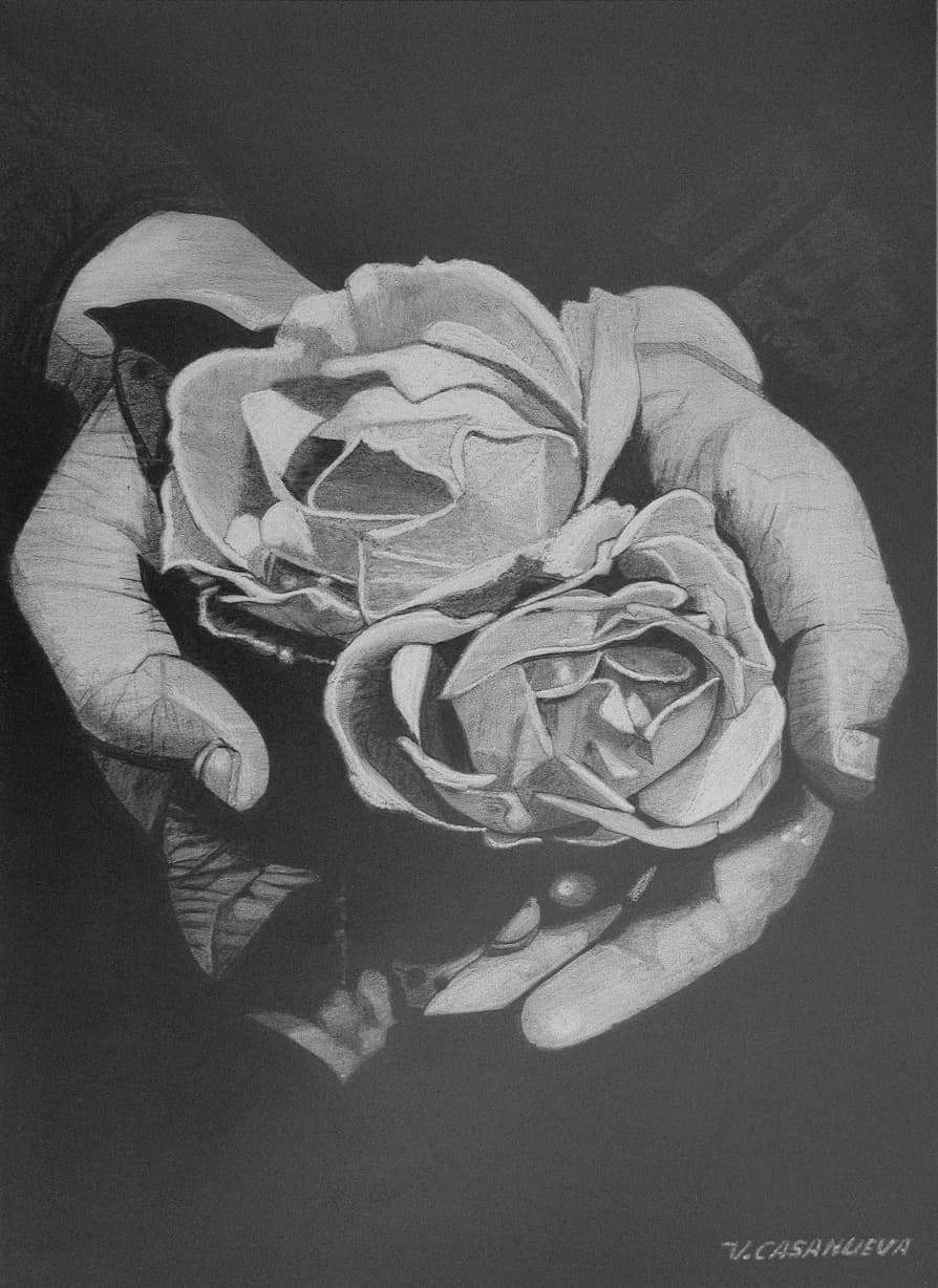 Rosas